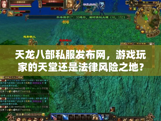 天龙八部私服发布网，游戏玩家的天堂还是法律风险之地？