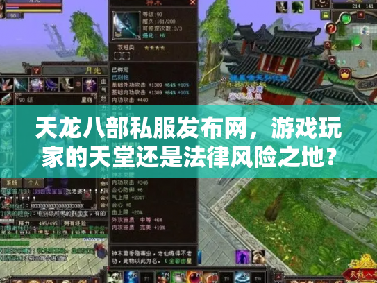 天龙八部私服发布网，游戏玩家的天堂还是法律风险之地？