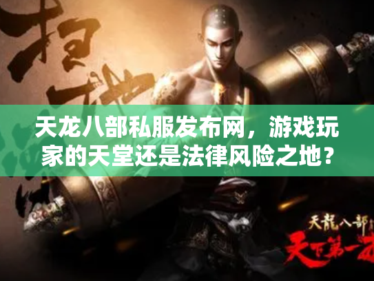 天龙八部私服发布网，游戏玩家的天堂还是法律风险之地？