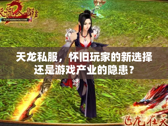 天龙私服，怀旧玩家的新选择还是游戏产业的隐患？