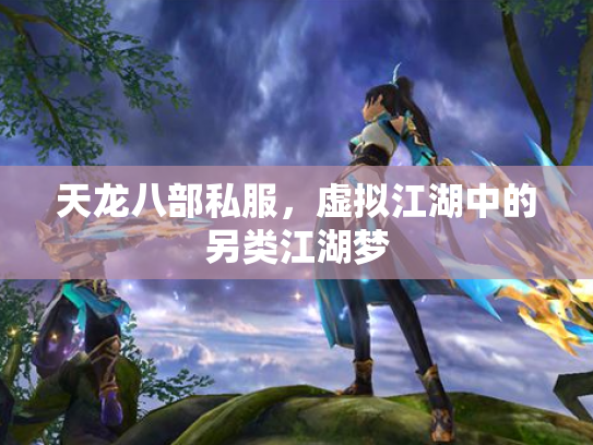 天龙八部私服，虚拟江湖中的另类江湖梦