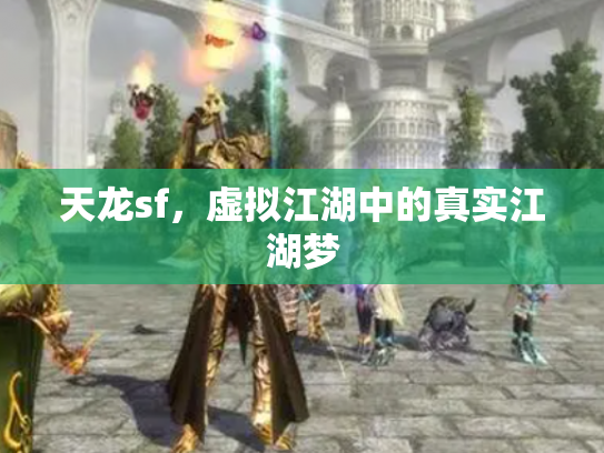 天龙sf，虚拟江湖中的真实江湖梦