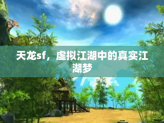天龙sf，虚拟江湖中的真实江湖梦