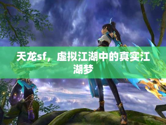 天龙sf，虚拟江湖中的真实江湖梦