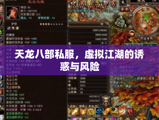 天龙八部私服，虚拟江湖的诱惑与风险
