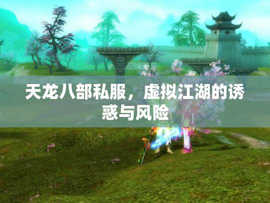 天龙八部私服，虚拟江湖的诱惑与风险