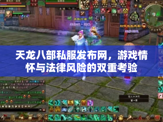 天龙八部私服发布网，游戏情怀与法律风险的双重考验