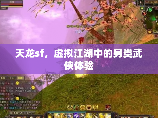 天龙sf，虚拟江湖中的另类武侠体验