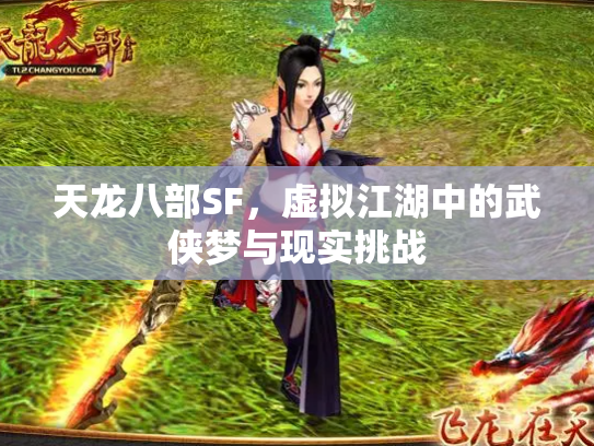 天龙八部SF，虚拟江湖中的武侠梦与现实挑战