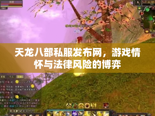 天龙八部私服发布网，游戏情怀与法律风险的博弈