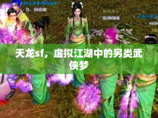 天龙sf，虚拟江湖中的另类武侠梦