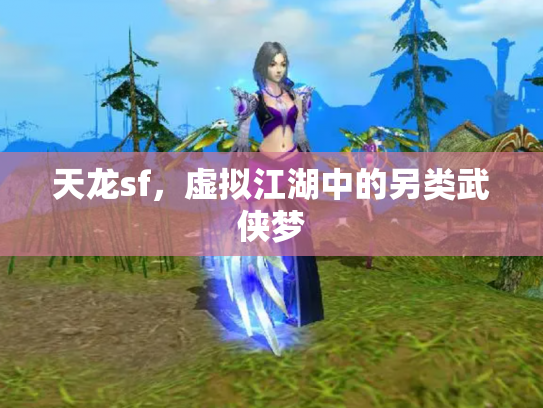 天龙sf，虚拟江湖中的另类武侠梦