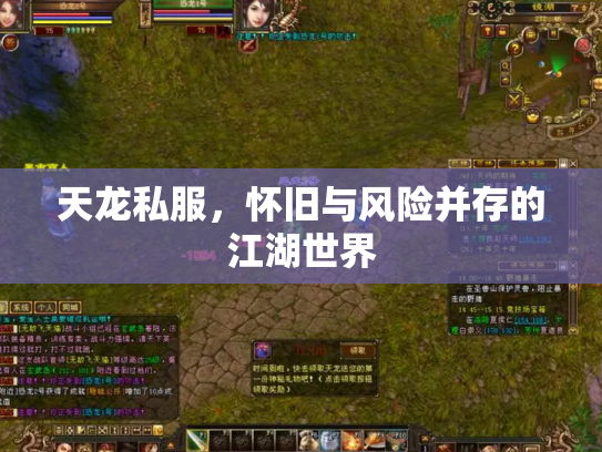 天龙私服，怀旧与风险并存的江湖世界