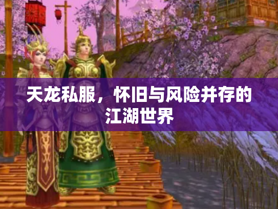 天龙私服，怀旧与风险并存的江湖世界