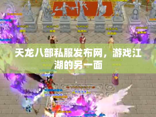 天龙八部私服发布网，游戏江湖的另一面