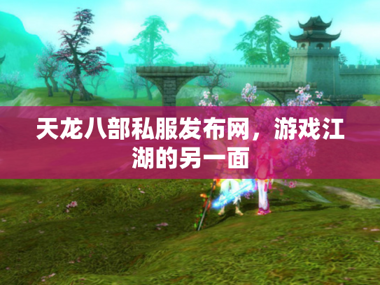天龙八部私服发布网，游戏江湖的另一面