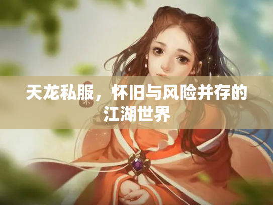 天龙私服，怀旧与风险并存的江湖世界