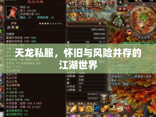天龙私服，怀旧与风险并存的江湖世界