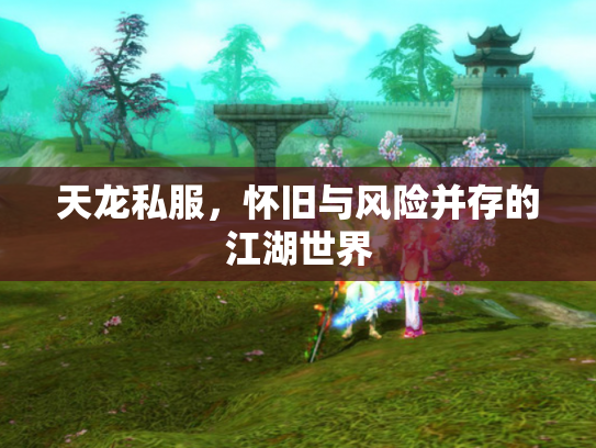天龙私服，怀旧与风险并存的江湖世界