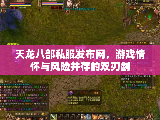 天龙八部私服发布网，游戏情怀与风险并存的双刃剑