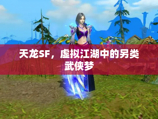 天龙SF，虚拟江湖中的另类武侠梦