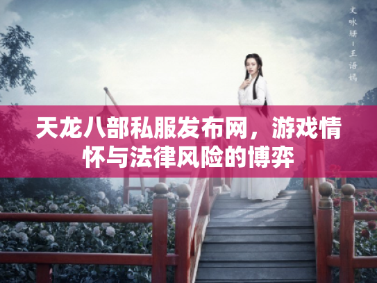 天龙八部私服发布网，游戏情怀与法律风险的博弈