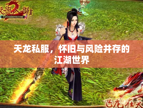 天龙私服，怀旧与风险并存的江湖世界