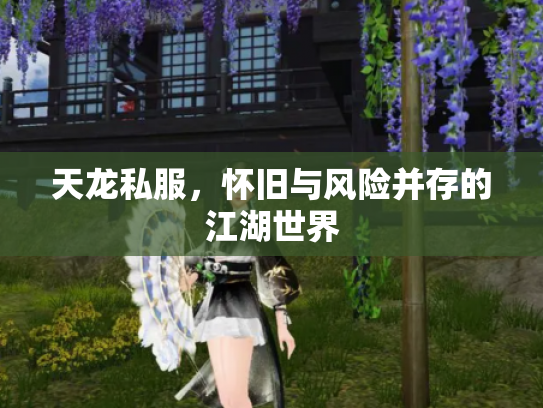 天龙私服，怀旧与风险并存的江湖世界