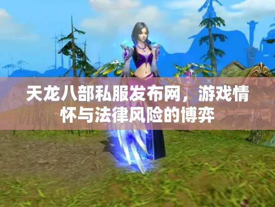 天龙八部私服发布网，游戏情怀与法律风险的博弈