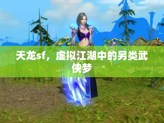 天龙sf，虚拟江湖中的另类武侠梦