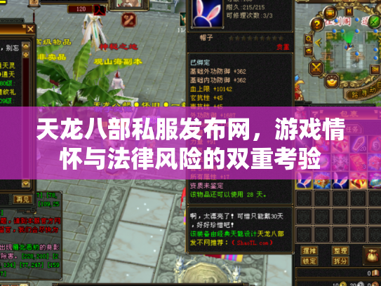 天龙八部私服发布网，游戏情怀与法律风险的双重考验