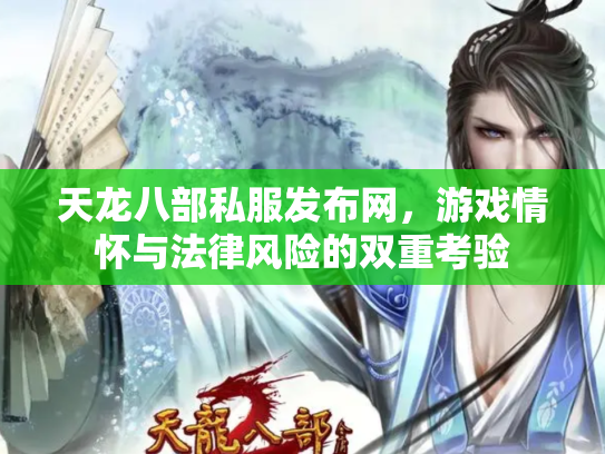天龙八部私服发布网，游戏情怀与法律风险的双重考验
