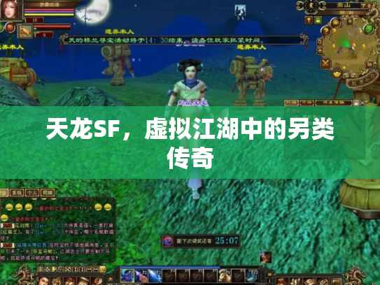 天龙SF，虚拟江湖中的另类传奇