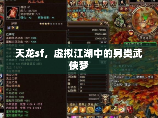 天龙sf，虚拟江湖中的另类武侠梦