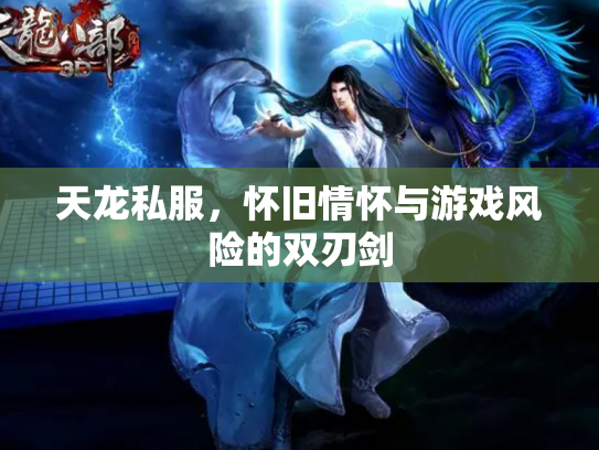 天龙私服，怀旧情怀与游戏风险的双刃剑
