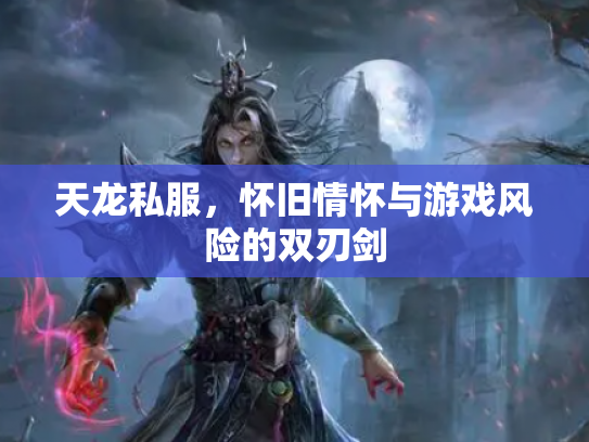天龙私服，怀旧情怀与游戏风险的双刃剑