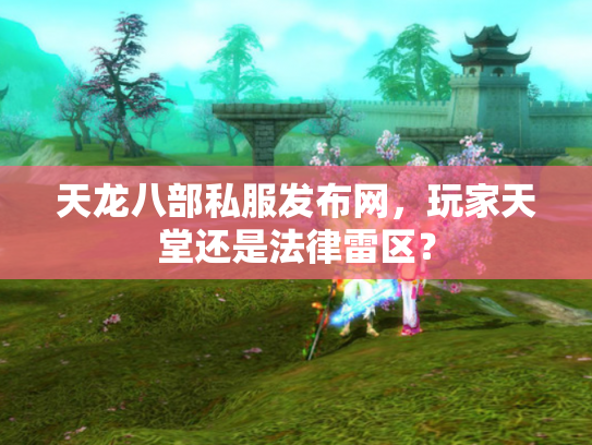 天龙八部私服发布网，玩家天堂还是法律雷区？