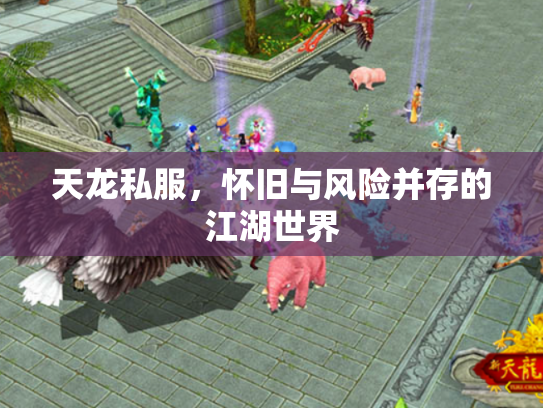 天龙私服，怀旧与风险并存的江湖世界