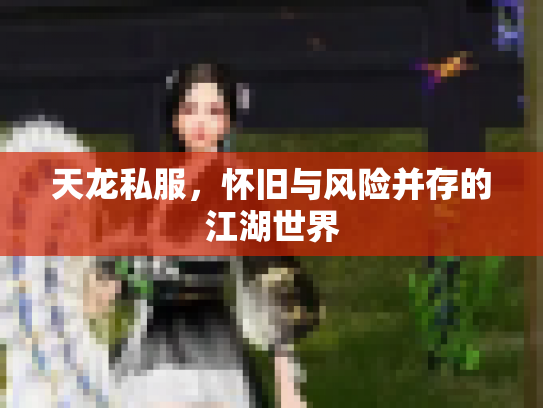 天龙私服，怀旧与风险并存的江湖世界