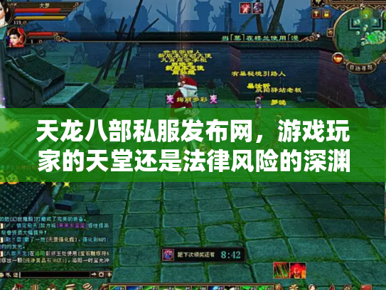 天龙八部私服发布网，游戏玩家的天堂还是法律风险的深渊？