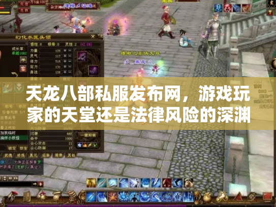 天龙八部私服发布网，游戏玩家的天堂还是法律风险的深渊？