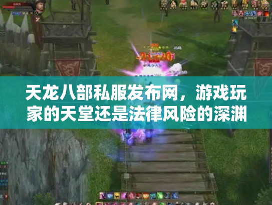 天龙八部私服发布网，游戏玩家的天堂还是法律风险的深渊？
