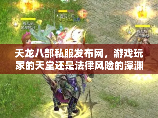 天龙八部私服发布网，游戏玩家的天堂还是法律风险的深渊？