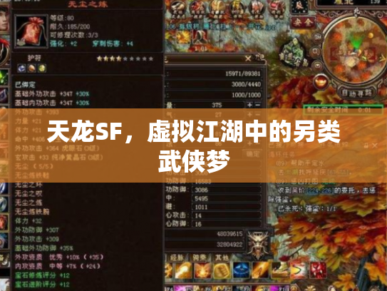 天龙SF，虚拟江湖中的另类武侠梦