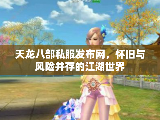 天龙八部私服发布网，怀旧与风险并存的江湖世界