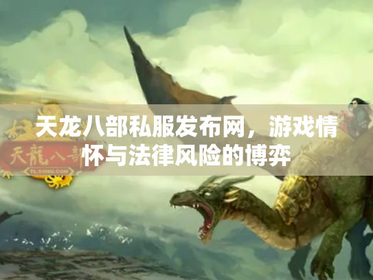 天龙八部私服发布网，游戏情怀与法律风险的博弈