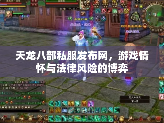 天龙八部私服发布网，游戏情怀与法律风险的博弈