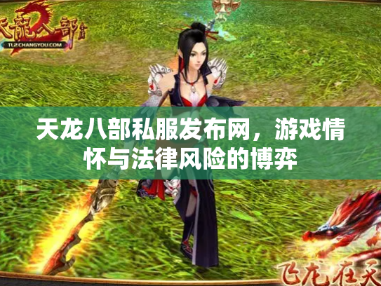 天龙八部私服发布网，游戏情怀与法律风险的博弈