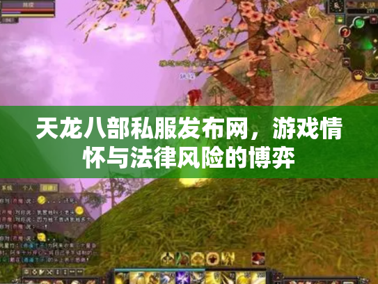 天龙八部私服发布网，游戏情怀与法律风险的博弈