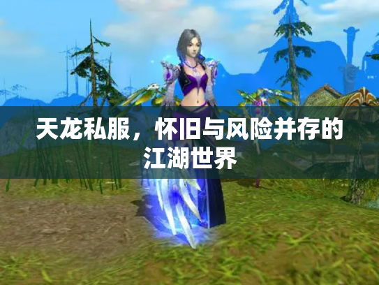 天龙私服，怀旧与风险并存的江湖世界